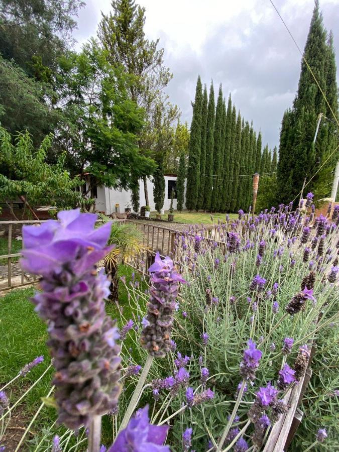 Hotel Boutique Calderon Huasca de Ocampo Dış mekan fotoğraf