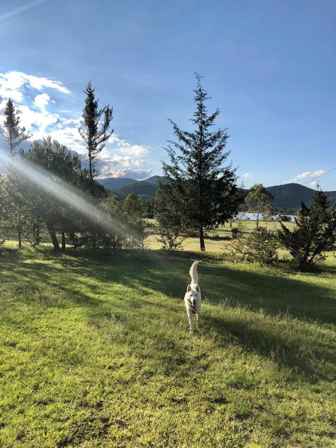 Hotel Boutique Calderon Huasca de Ocampo Dış mekan fotoğraf