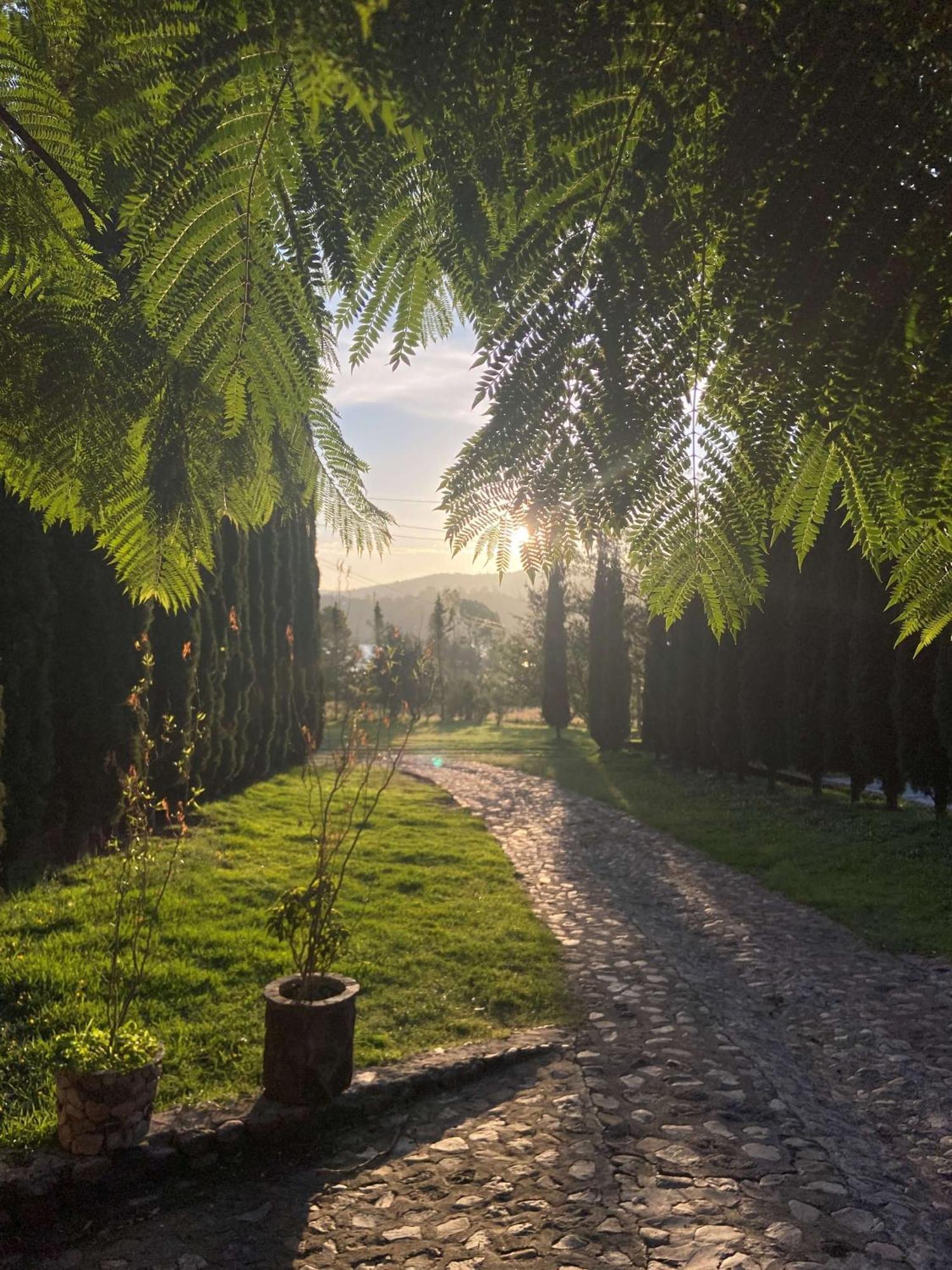 Hotel Boutique Calderon Huasca de Ocampo Dış mekan fotoğraf