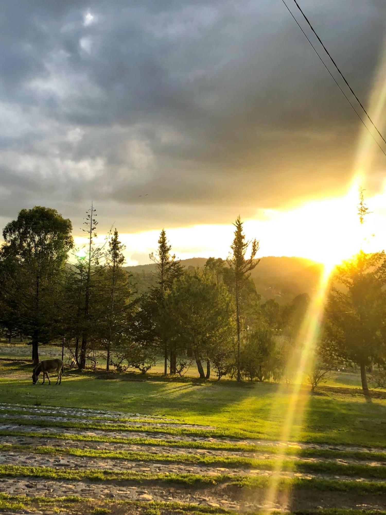 Hotel Boutique Calderon Huasca de Ocampo Dış mekan fotoğraf